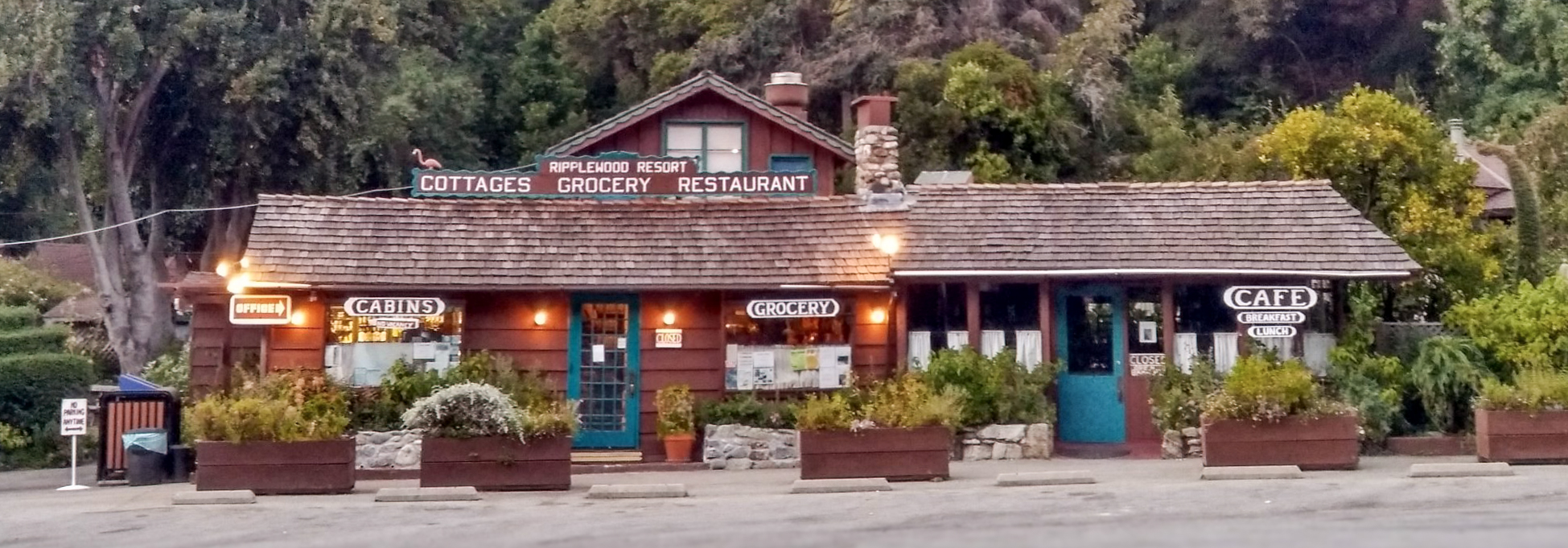Ripplewood Resort in Big Sur with cabins under redwoods