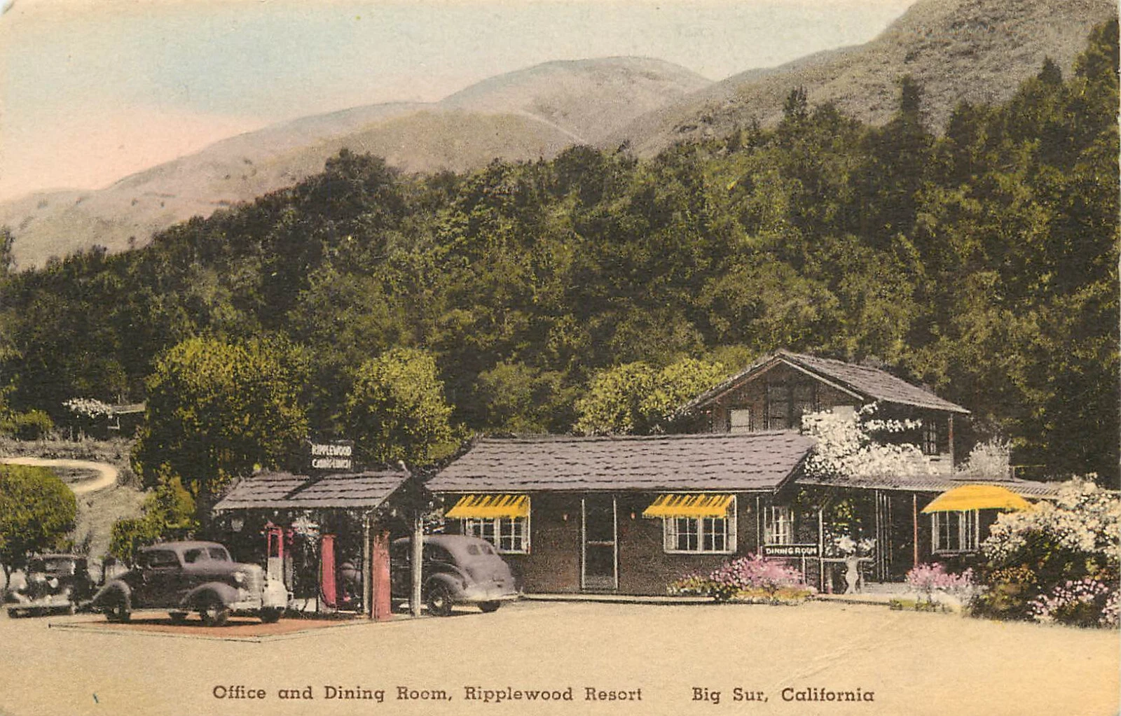 Vintage postcard of Ripplewood Resort in Big Sur, California