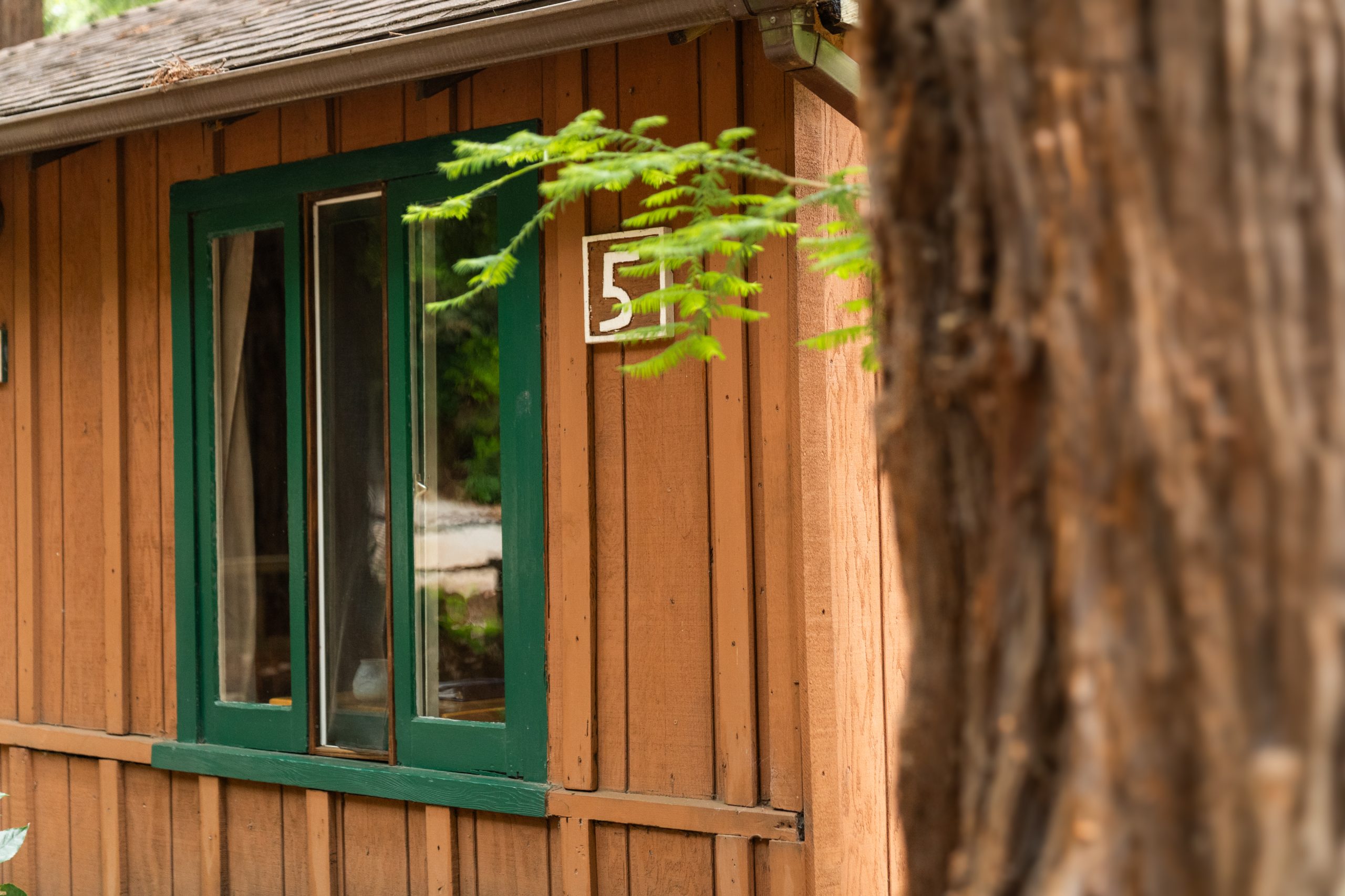 Ripplewood-Big-Sur-Cabins-Resort-Lodge-Lodging-Visit-Hotel-Stay-Restaurant-River-Camping-Cottage-Things-To-Do-General-Store-Gas-173