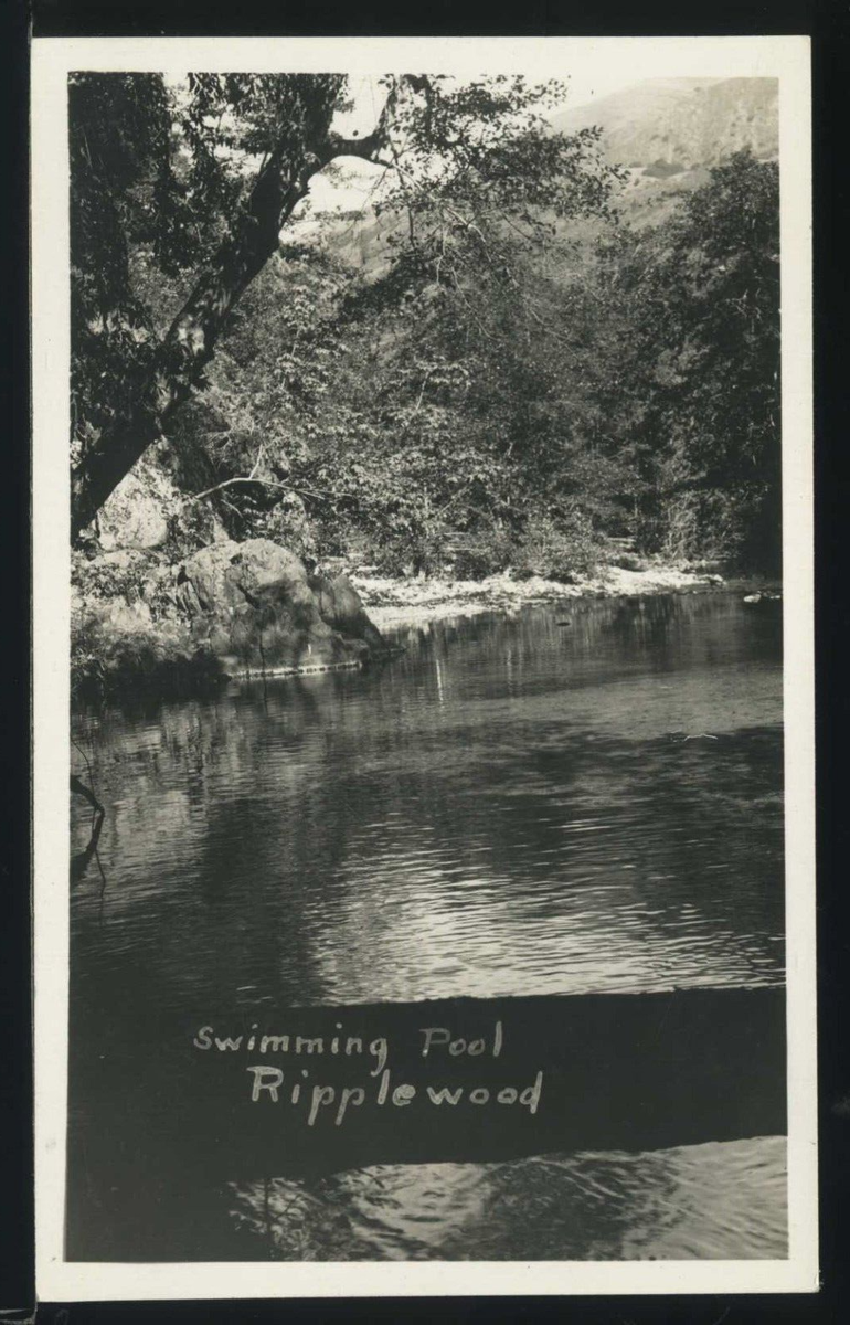 Vintage postcard of Ripplewood Resort, one of Big Sur’s earliest hotel alternatives