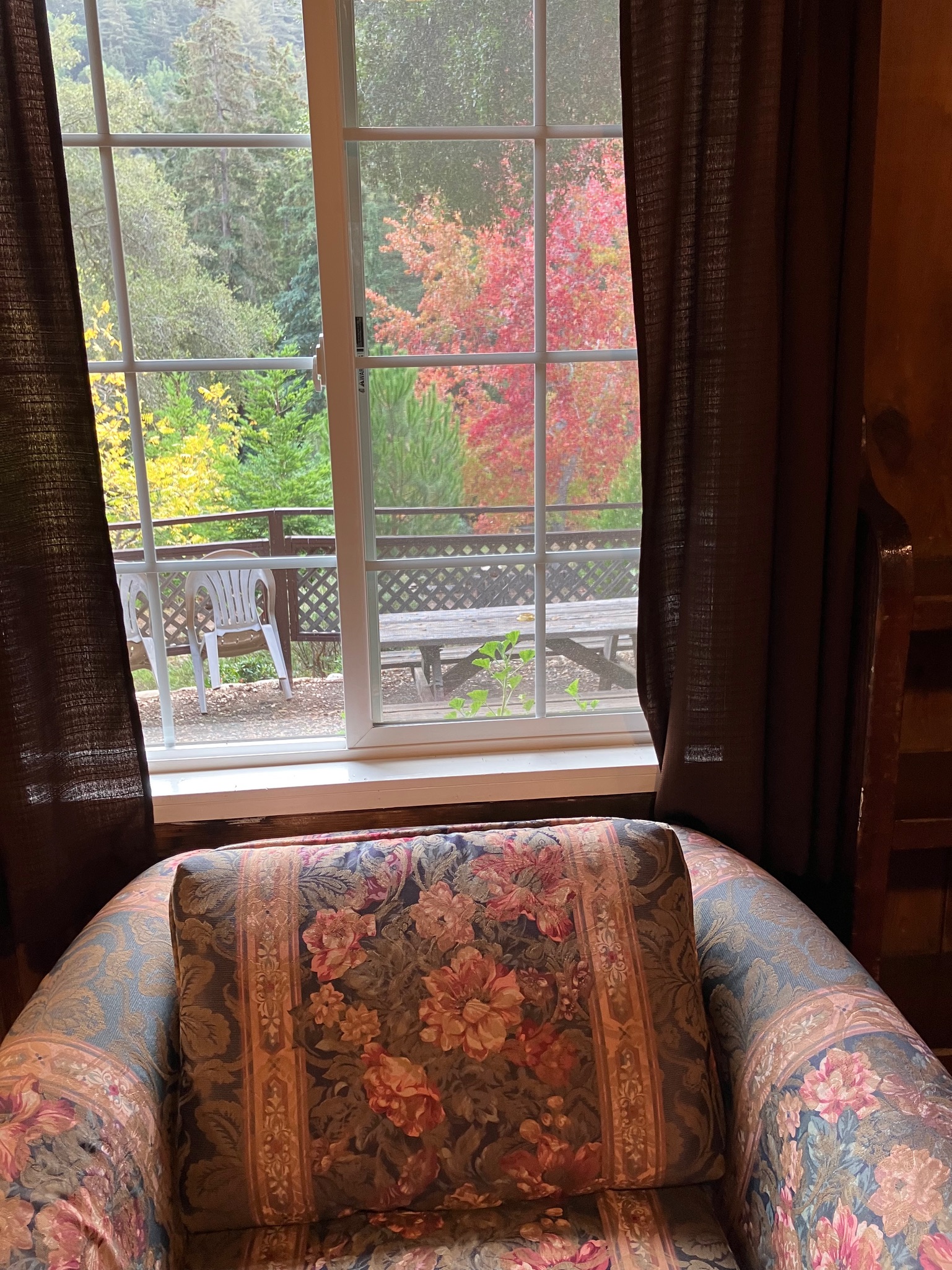 Ripplewood-Resort-Hotel-Big-Sur-Cabin-15-6