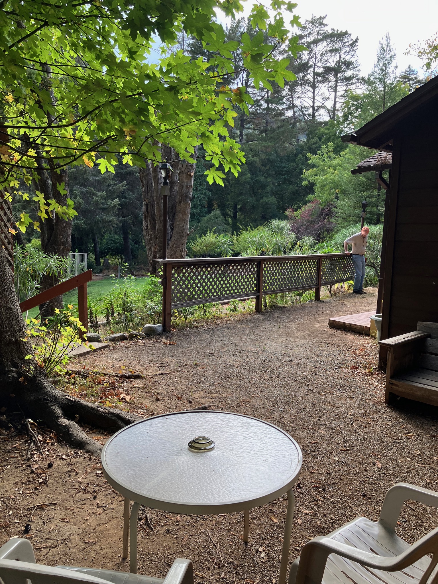 Ripplewood-Resort-Hotel-Big-Sur-Cabin-12a-3