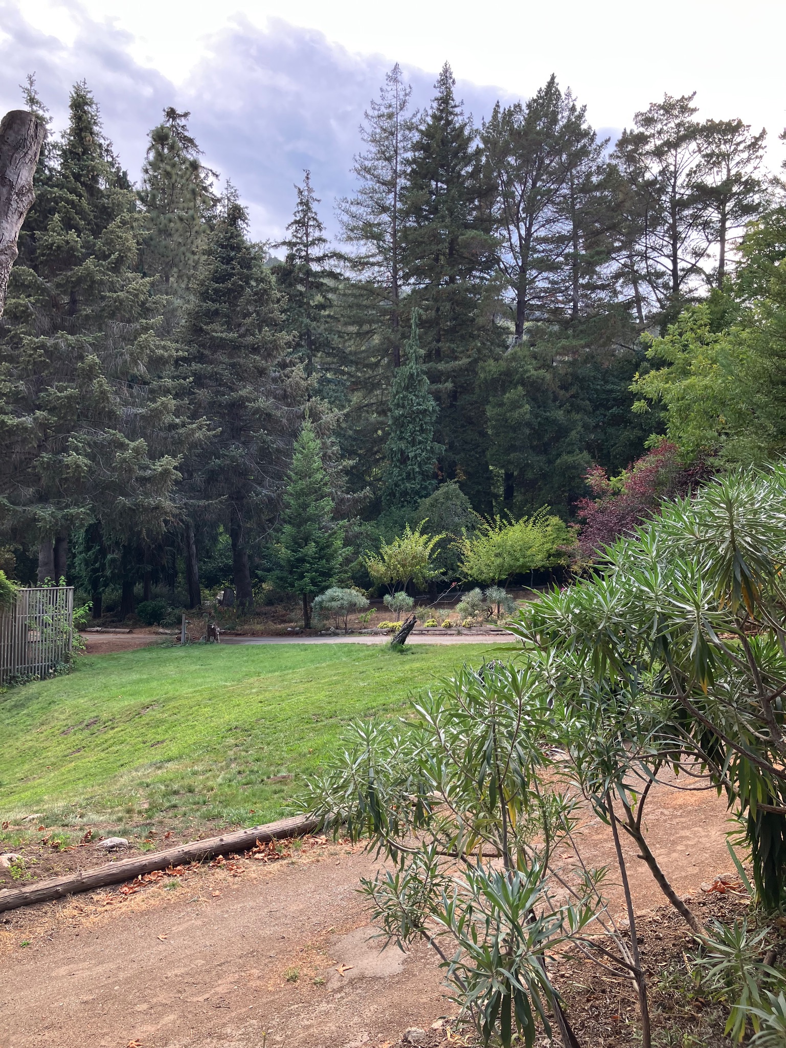 Ripplewood-Resort-Hotel-Big-Sur-Cabin-12a-4