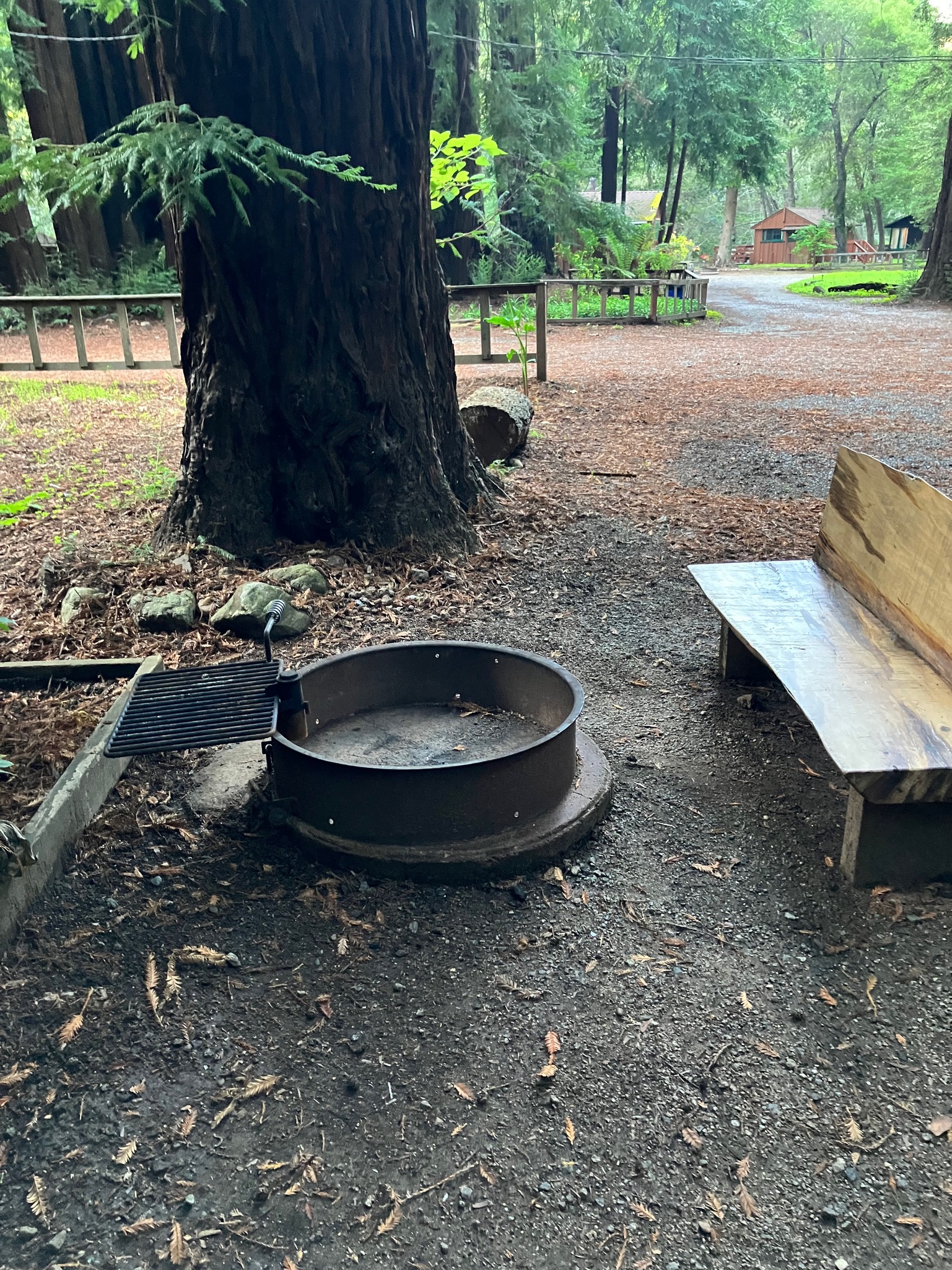 Ripplewood-Resort-Hotel-Big-Sur-Cabin-5-1