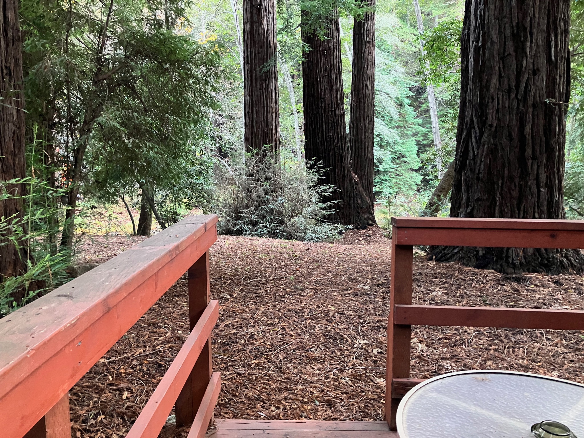 Ripplewood-Resort-Hotel-Big-Sur-Cabin-5-7